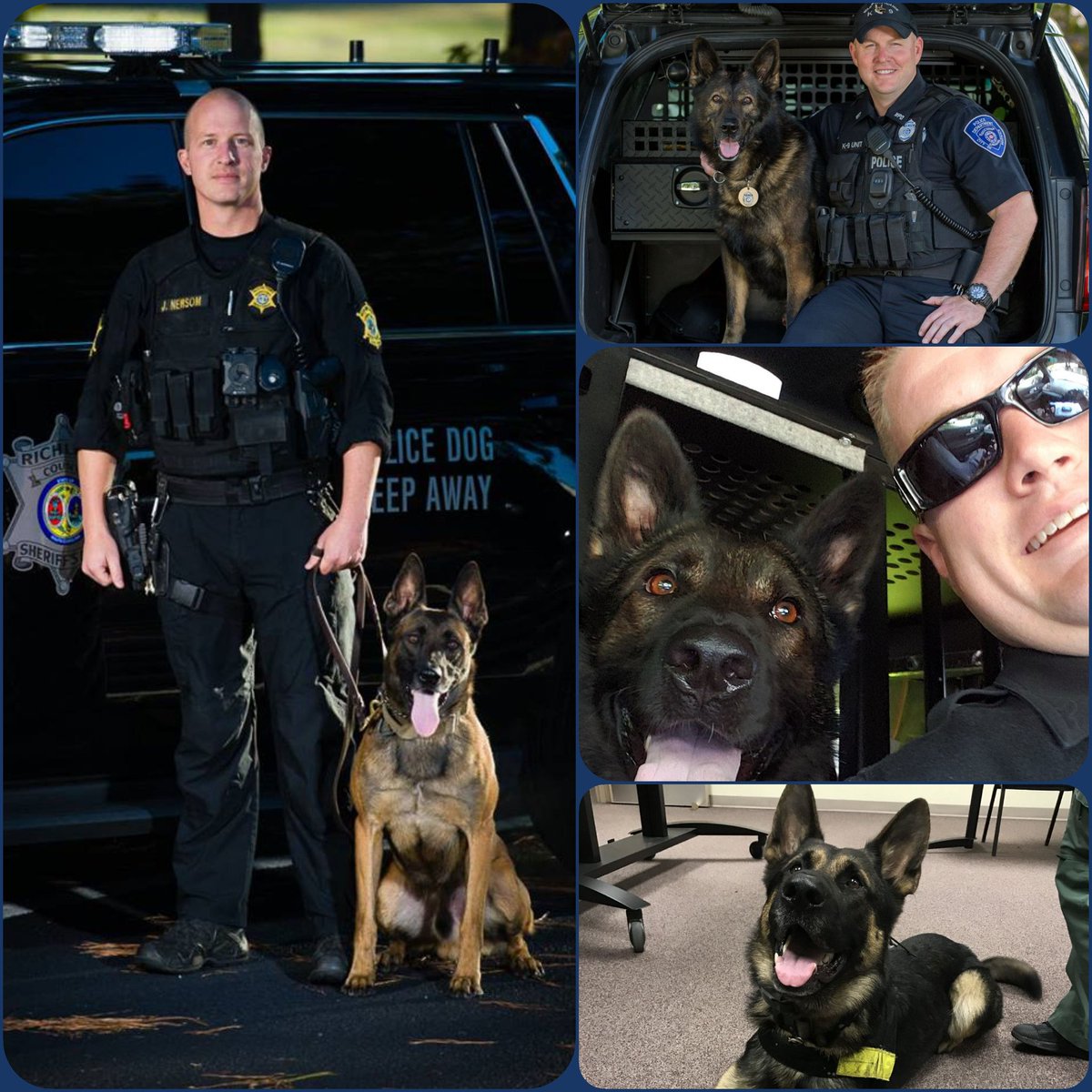 OnPatrolFans's tweet photo. Tonight's K9's. There are 4 in tonight's #LivePD lineup. 🐕 #k9bali #k9jango #k9viking #k9stark #k9soflivepd #LivePDNation #livepdfantasylg https://t.co/I3TMPkt6aD
