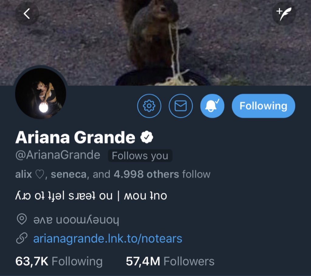 sweettners's tweet photo. rt this if ariana doesn‘t follow you! this tweet will be on her timeline. good luck ♡ https://t.co/od7OlBaBMg