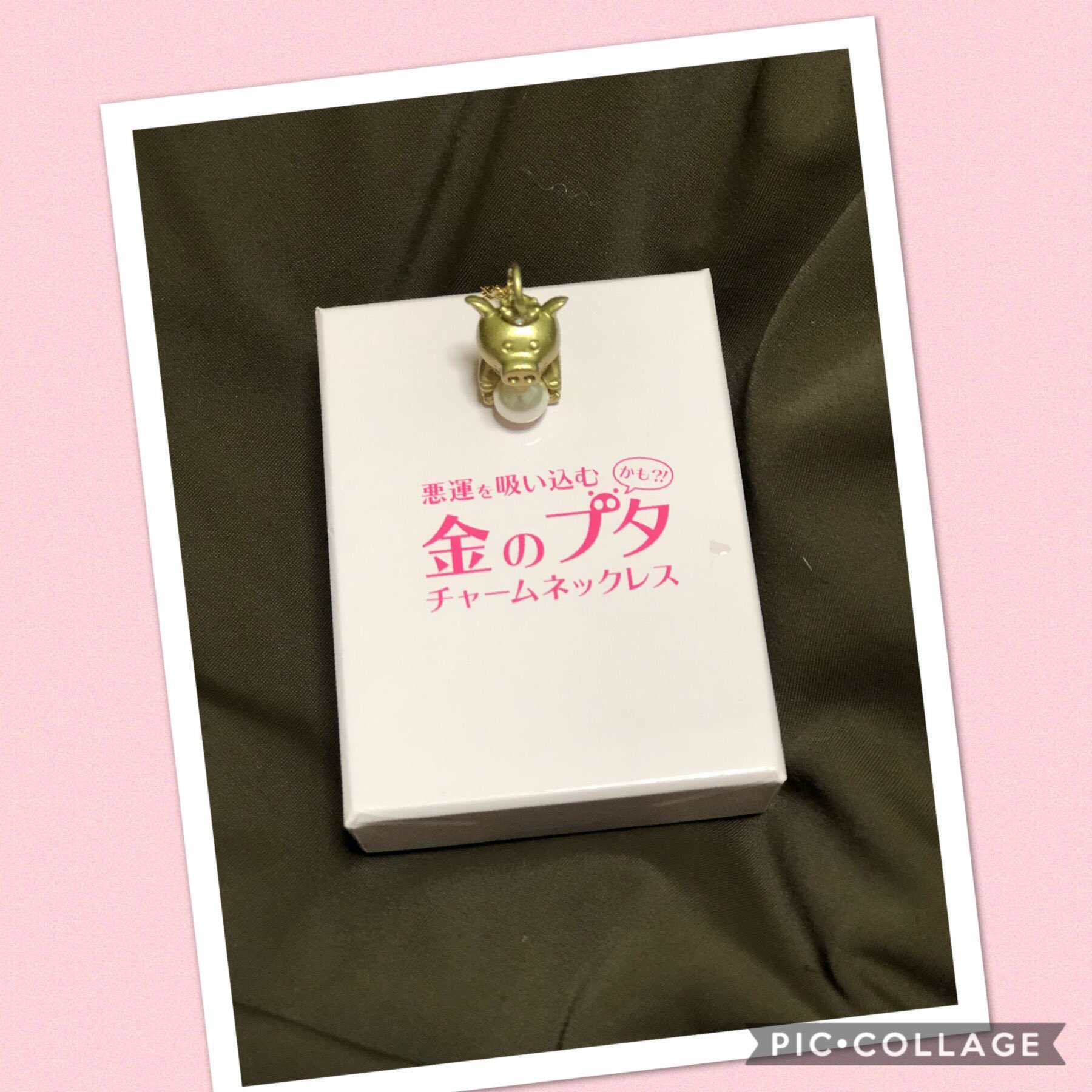 Chiko ワシントンがうちにやって来ました 持ち歩いて 悪運吸い込んでもらお てか 普通に可愛い 花のち晴れ 花晴れ ワシントン 神楽木晴 平野紫耀 T Co Fzmtapqkgm Twitter