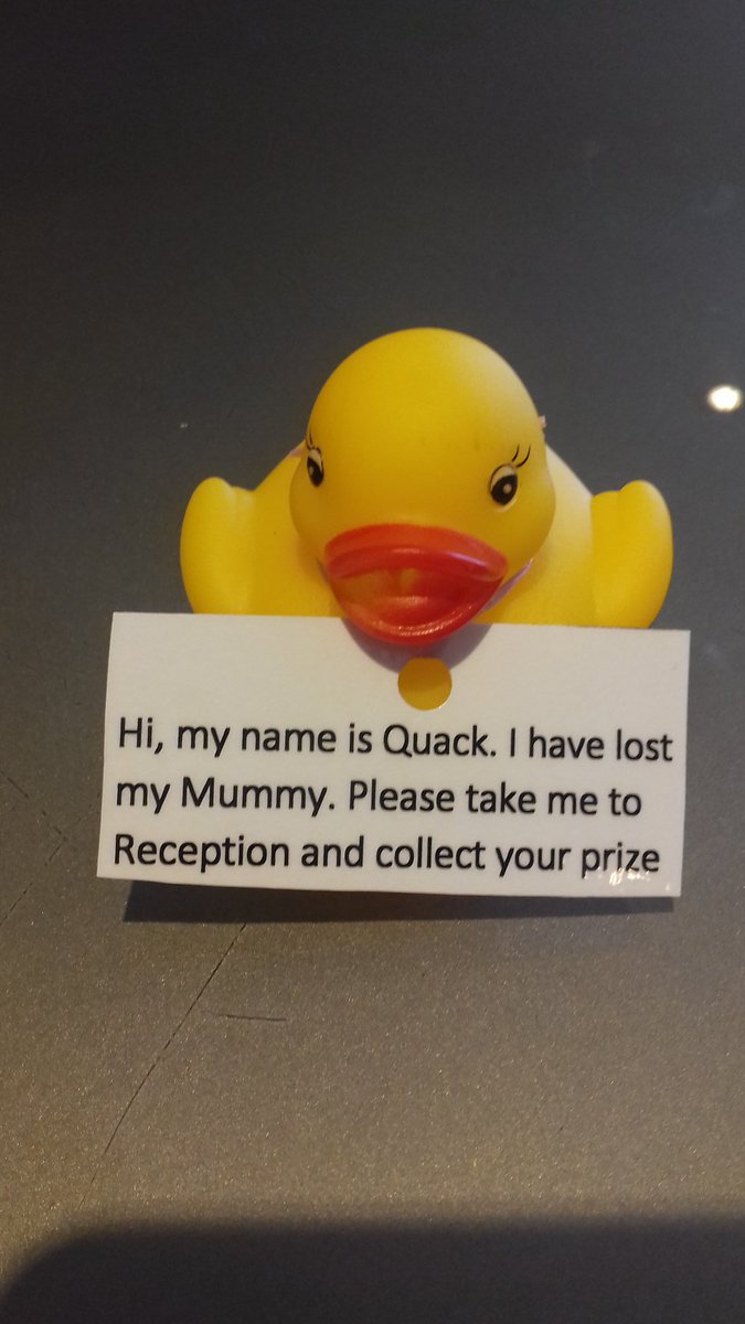 HenckensJorik's tweet photo. Some of our new #piwows at crewe central. Look @kasiabandura1 our ducks arrived 😊😊 we also found a regional wow for our guest 💚💚 #flairandformula @SDEBDD @paulallancurtis @AndyFr4ncis @CreweInn @placemadebyyou https://t.co/byY9BPmpEf