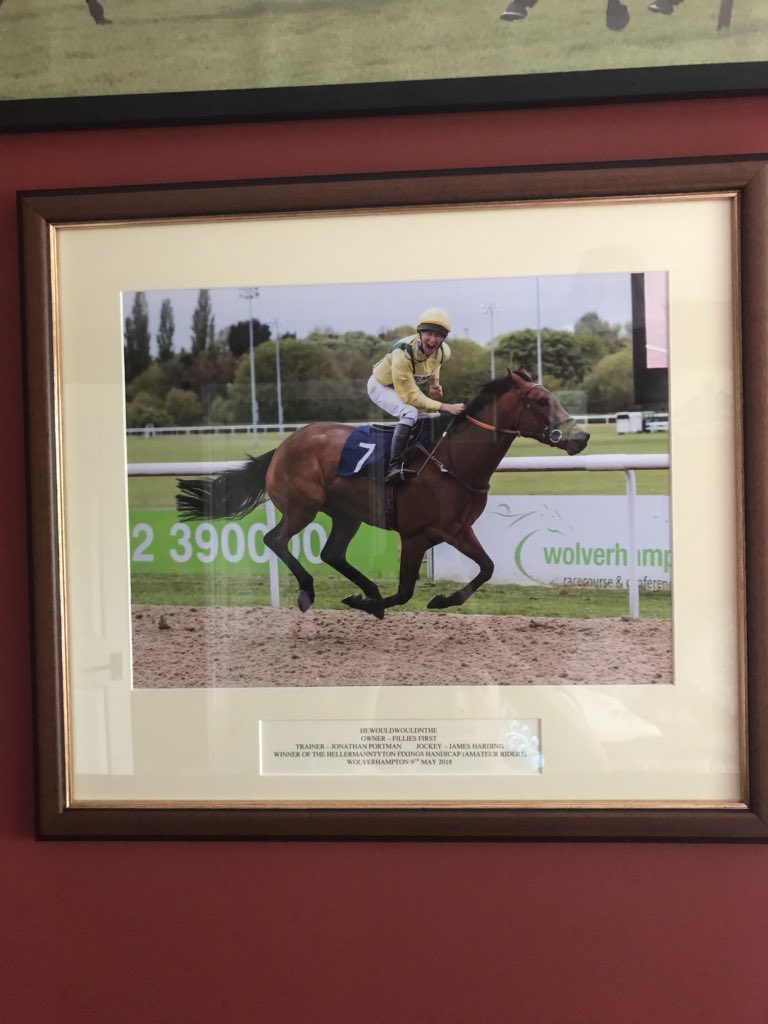 jamesyharding's tweet photo. Thanks very much Jonathan Hipkiss @WolvesRacesPics #HangingProud #WinningRide #SpecialColours https://t.co/b90aFKRHUe