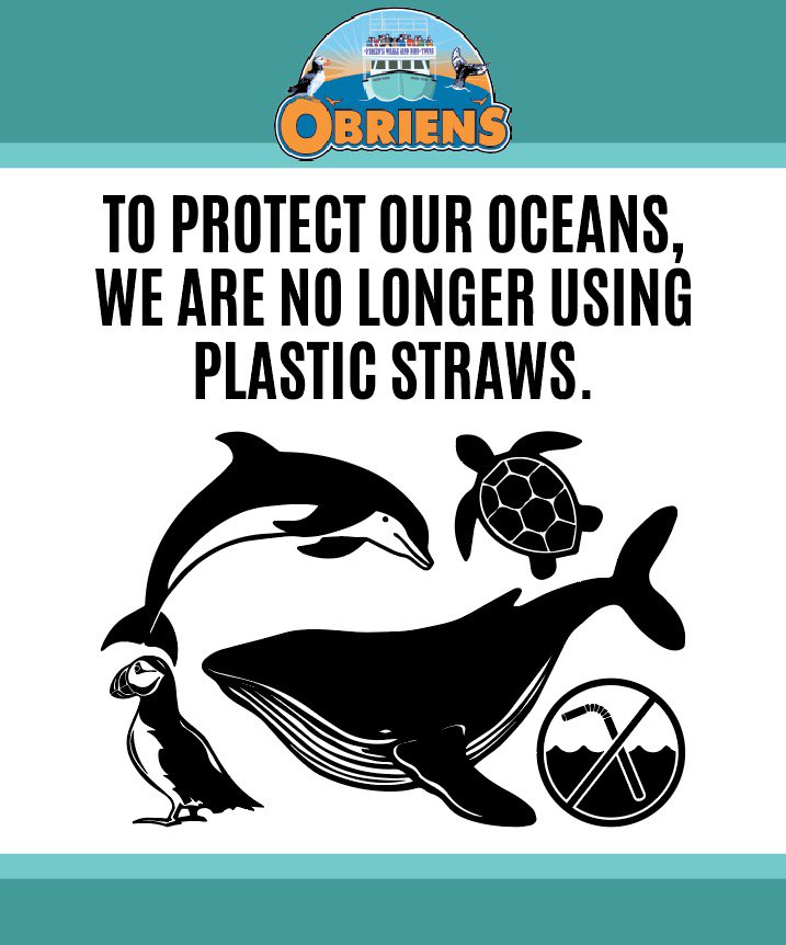 Just one of many ways we doing our part to help protect and preserve the marine life of our oceans. #WorldOceansDay #ExploreNL