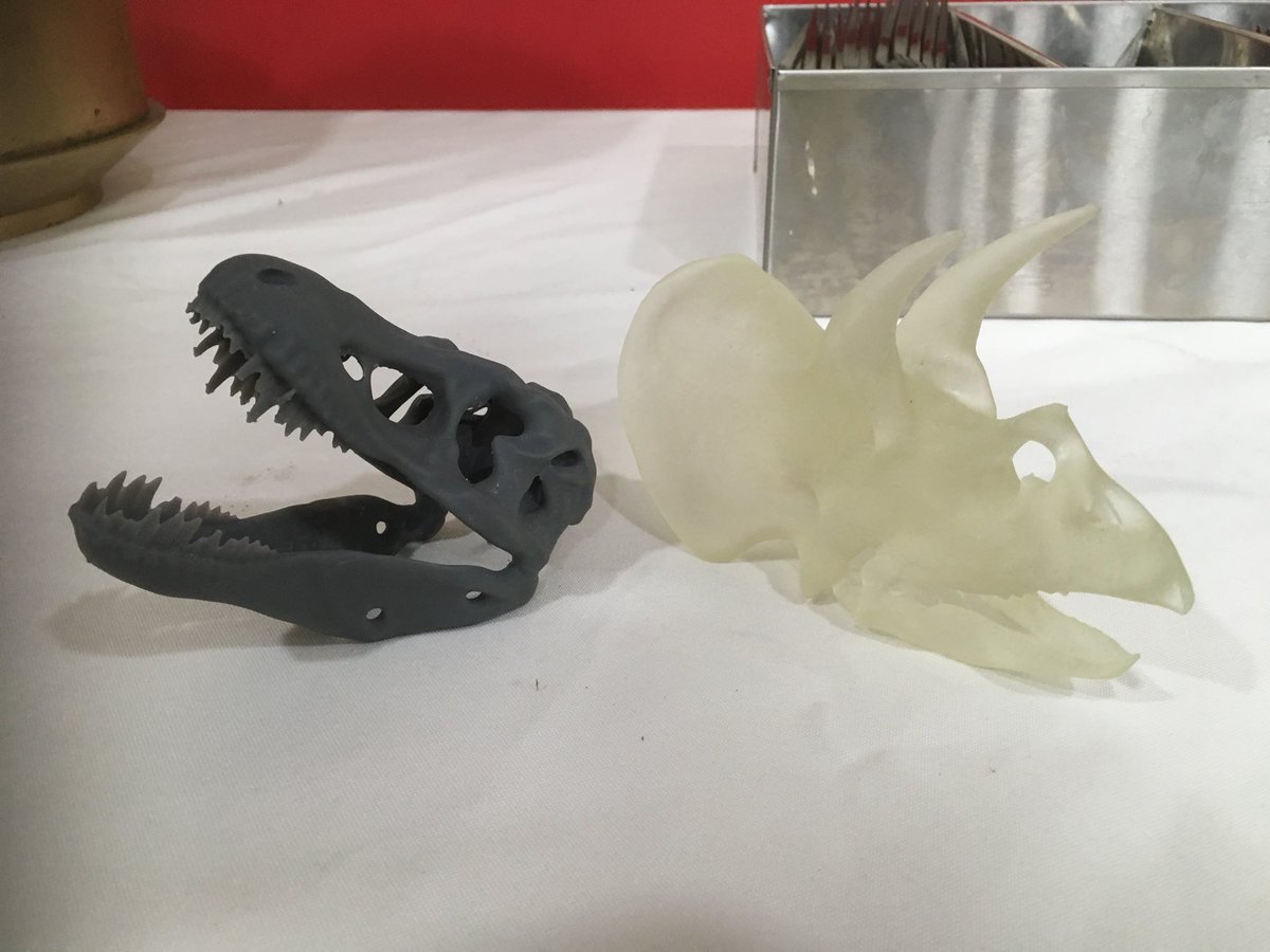 progpal2018's tweet photo. Major thanks to @PrintCityMMU for donating these amazing 3D printed Dino skulls (they’re really print wizards) #progpal18 https://t.co/bruGnExpGK