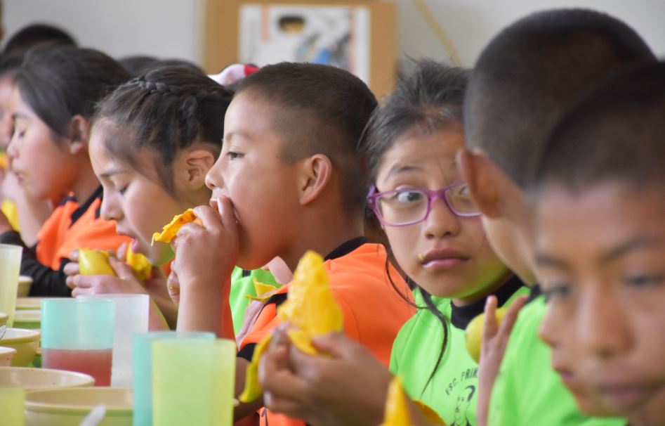 Programas de alimentación escolar apoyan la agricultura local, fortalecen y diversifican los sistemas alimentarios y ayudan a las personas a salir de la pobreza mediante el suministro de alimentos 

#FAOyNutrición
#AlimentaciónyNutriciónEscolar
🍽️ bit.ly/2tnhWHz