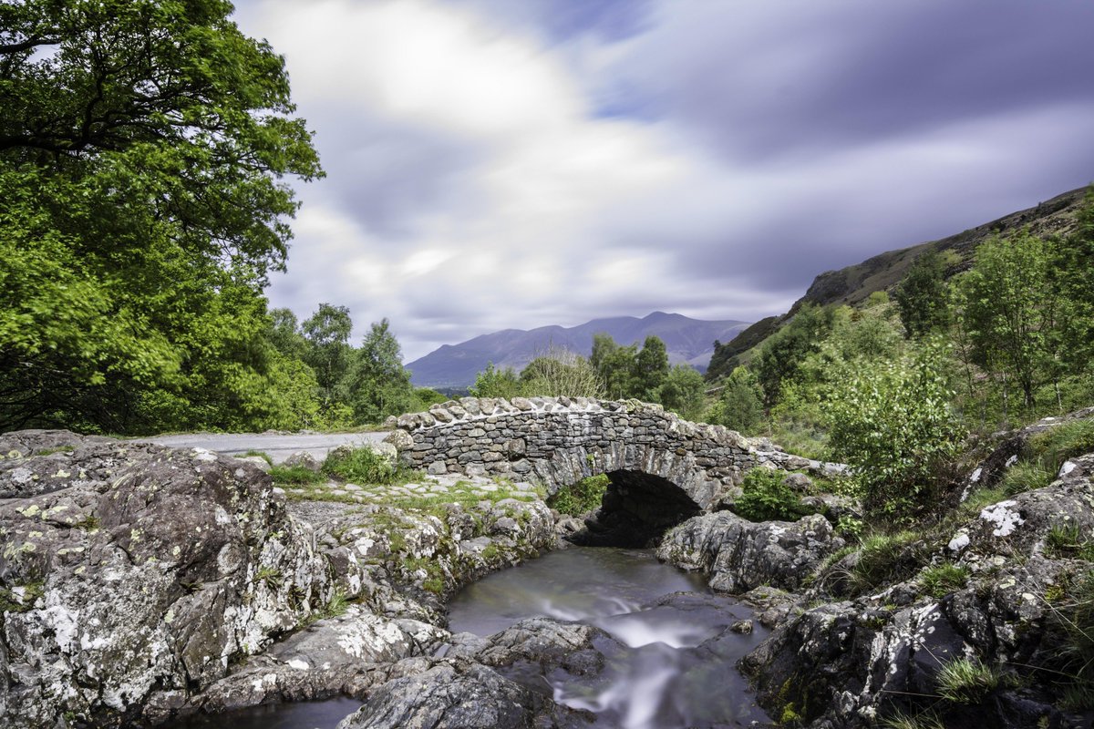 brackenmagazine's tweet photo. In Co. Cavan, Ireland, there is a lovely forest called Dun a Ri, which is steeped in folklore. This forest even boasts a proper ghost that resides over a bridge. Another charming addition to #ForestFriday.
#BrackenMagazine #DunaRi https://t.co/VjdbafOMlF https://t.co/CMbMjBw6Rt