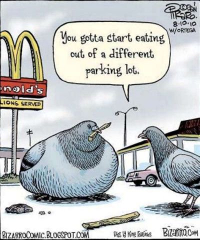 TheBodyProj's tweet photo. #youarewhatyoueat
.
.
.
.
.
.
.
.
.
#healthychoices #healthyliving #fastfood #nutritionhumour #healthhumour #nutritionfunny #maccyd #macdonalds https://t.co/nMz101hmxF