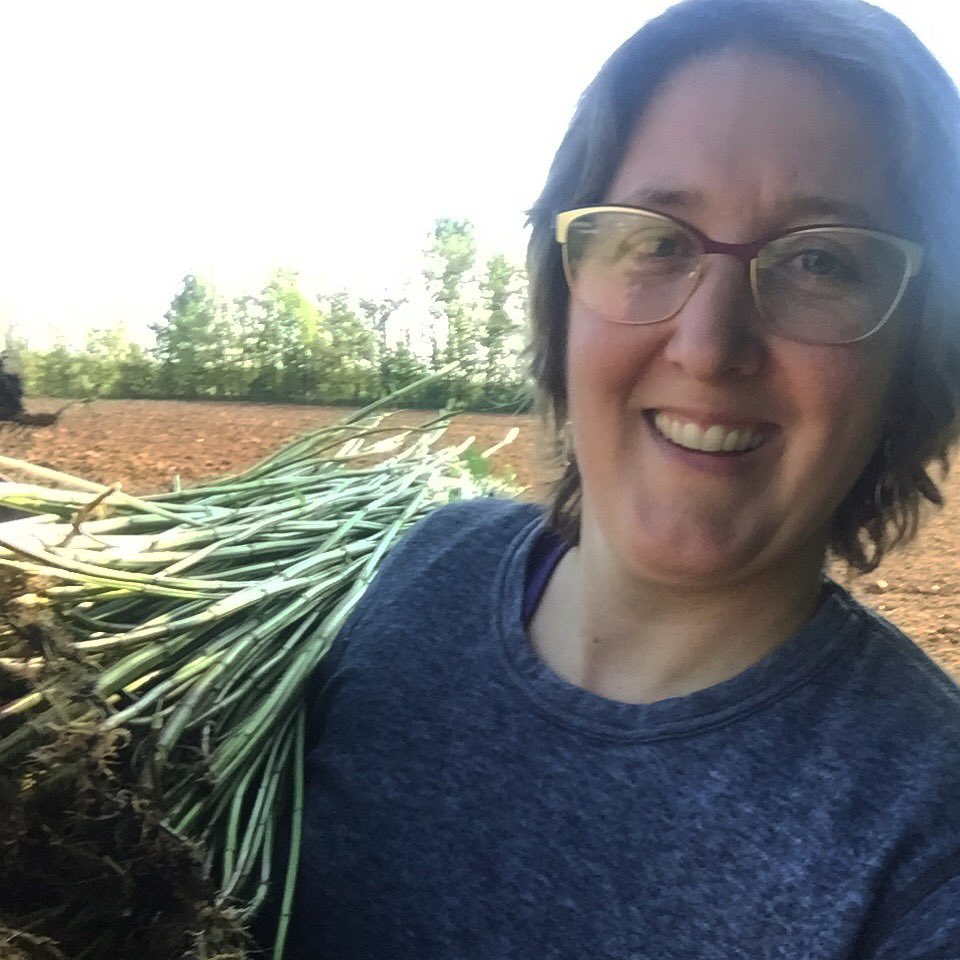 TapRoot Fibre Lab tweet media