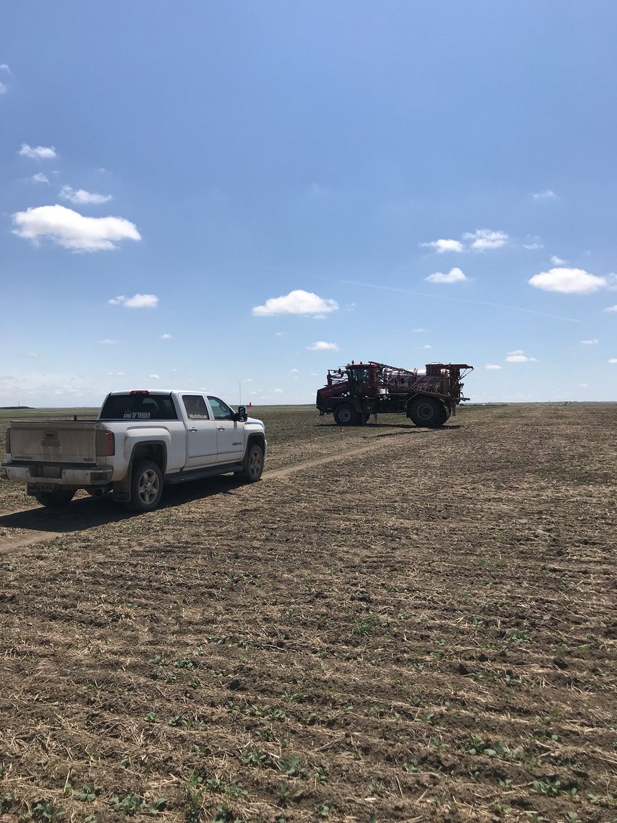 Liquid top dress trial in progress👍🏻 @GMacsAgTeam <a href="/braycon11/">Brayden Connor</a> @GmacJay #uan #ats #senergy