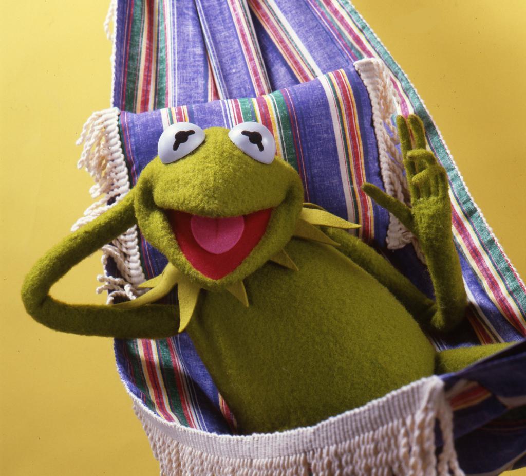 KermitTheFrog's tweet photo. For us amphibians, there's nothing like muggy and humid June weather. Time to kick back, relax, and enjoy the sweet heat of summer. https://t.co/6IQfAaewSr