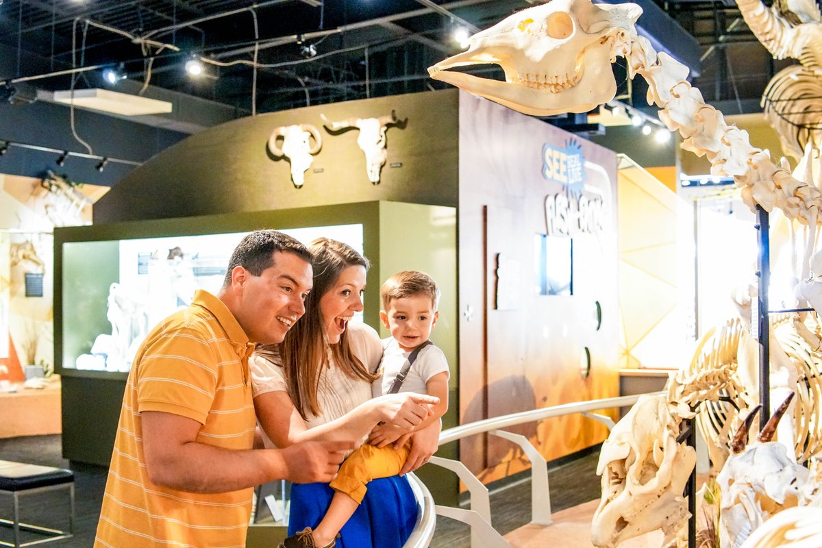 Start your #FathersDay adventure 400' above International Drive on ICON Orlando and then head over to <a href="/SkeletonMuseum/">SKELETONS</a> for a bone shaking time!