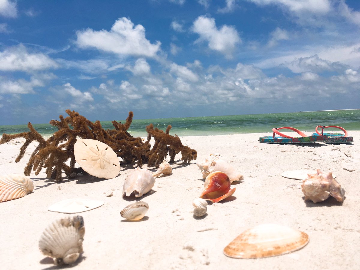 MarcoResort's tweet image. Happy #WorldsOceanDay 🌊☀️