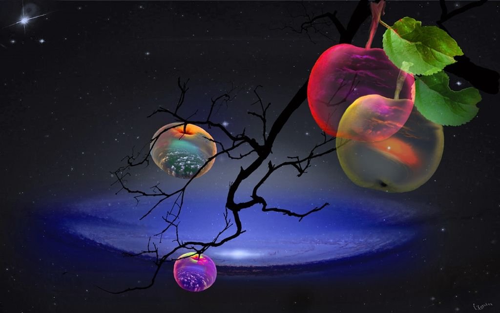 Novelicious tweet media