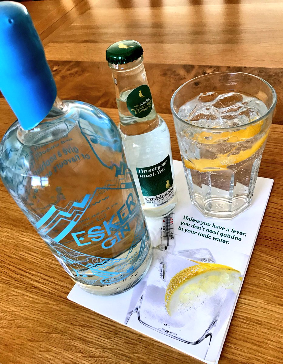 esker_spirits's tweet photo. Because sometimes only a large* Esker & tonic will do (*not quite a pint, please drink responsibly out there...)
#teamesker #oneofteameskerisatoddler #ginrequired https://t.co/24NoCqGd9s