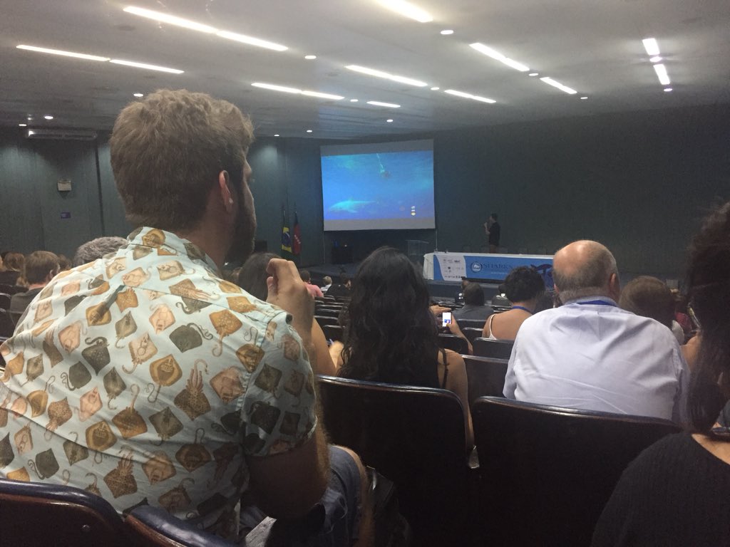 Thomas Farrugia tweet media