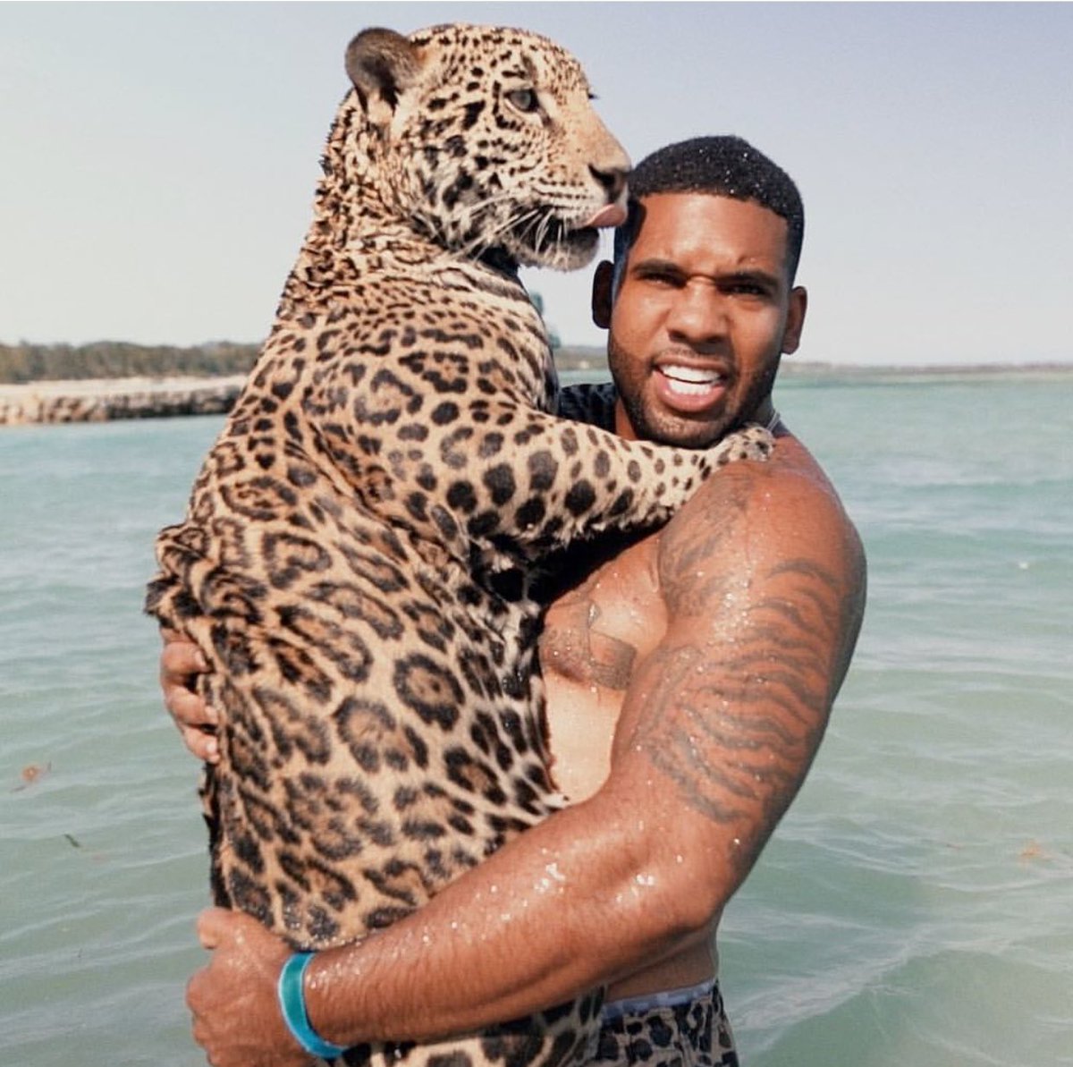 exotic animal specialist