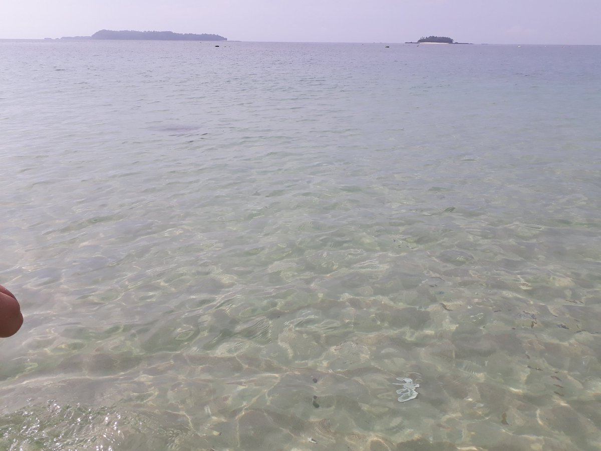 Atilejos's tweet photo. Si vienen a Panamá, vayan a isla Contadora
#NoniTips https://t.co/itPX3brYT8