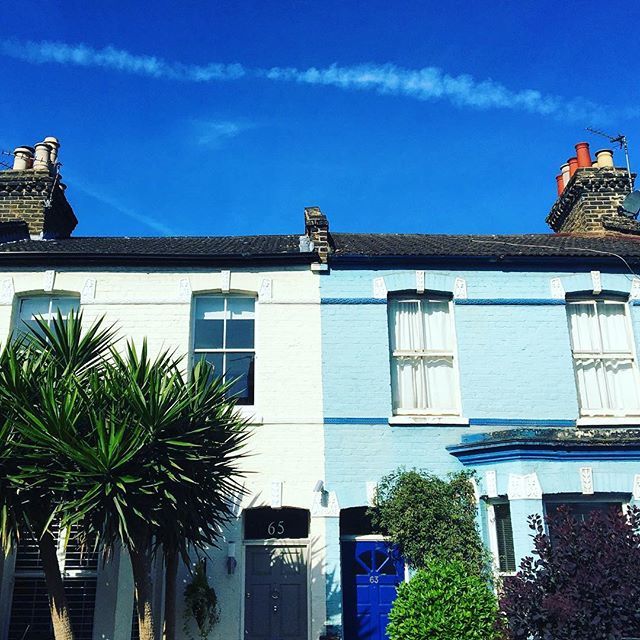Solutions2pollu's tweet photo. Summer feel! #tw #palmtree #beautiful #shades #of #blue #sun #fun #love #summer #vibe #heat #warmth #happy #chiswick #london #uk https://t.co/lk8SZv032Y