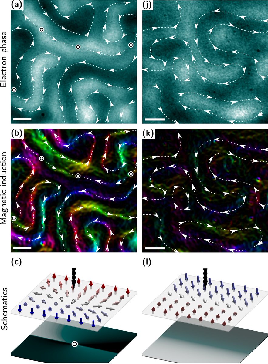 MDCPrecision's tweet image. Non-Crystal Clarity: Scientists Find Ordered Magnetic Patterns in Disordered Magnetic Material newscenter.lbl.gov/2018/06/08/ord…  #BerkeleyLab #AdvancedLightSource #ALS #Spintronics #ThinFilm #VacuumChamber #MDCVacuum #VacuumScience #Chirality #Chiral #MolecularFoundry #Synchrotron