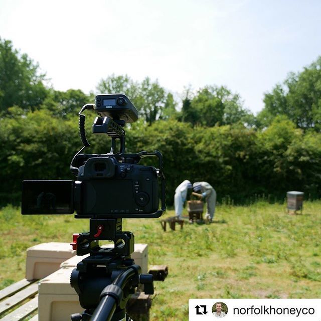 CameTV's tweet photo. @norfolkhoneyco posted this pic from a recent shoot with his #Panasonic setup using our #Cametv #Protective #Cage for the #GH5! #CametvCage #PanasonicGh5 #GH5rig ・・・
Out shooting a queen rearing video.
#queenbees #PanasonicGH5 #Lumix #Panasonic12-35mm #Rodefilmmakerkit #Rode… https://t.co/3gE3EZp7WC
