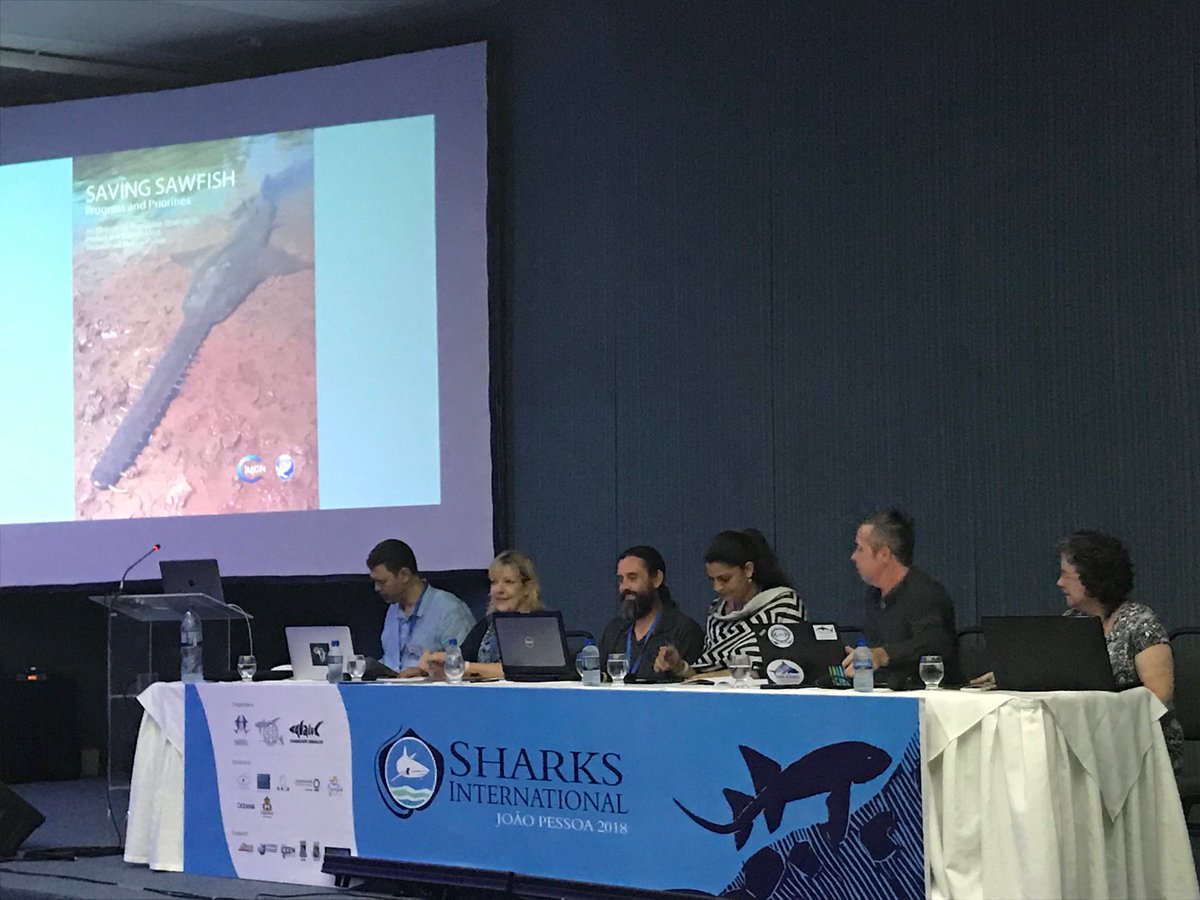 Shark Advocates tweet media