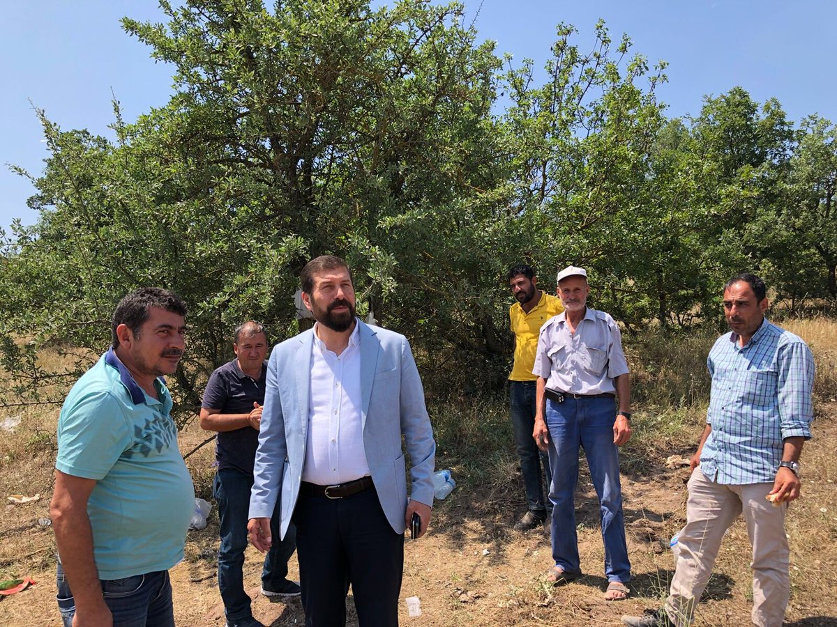 ekrem_yvs's tweet photo. Yusufçamı gölet inşaatı başladı çok şükür #YaparsaYineAKPartiYapar https://t.co/KgACGUCijq