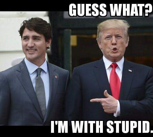 MarsDogBarks's tweet image. #Trump @ #G7 with #ProMuslim
#Trudeau #Merkel #May #Macron
Who #protect &amp;amp; #promote #Islam
In #Politics &amp;amp; use #hatecrime #laws
To #suppress #critics of #Islamists
#PoliticalIslam in #Canada in
#LiberalCabinet by #LiberalGovt
See: #M103 2 #suppress #critics of
#Islam #Islamophobia