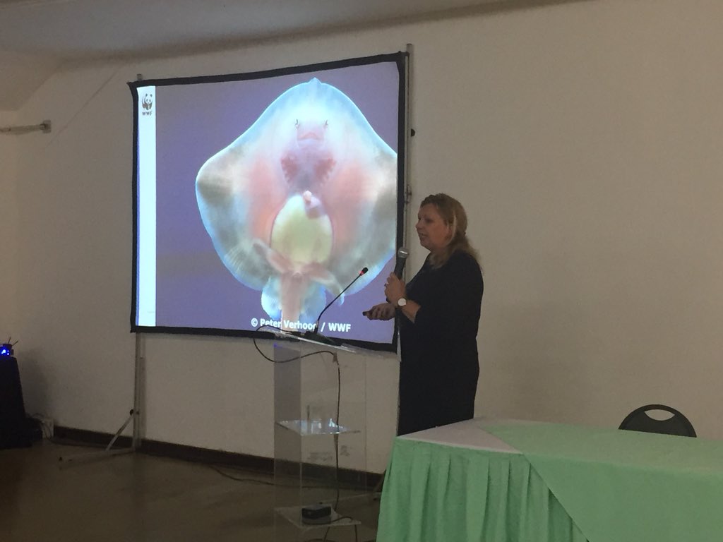 Thomas Farrugia tweet media