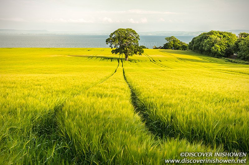 Discover Inishowen tweet media