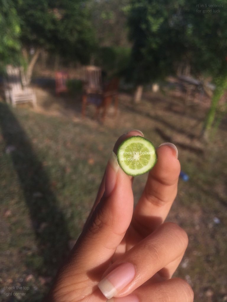 Remurdy's tweet photo. Zoom in on the lime. https://t.co/So37fv05B0