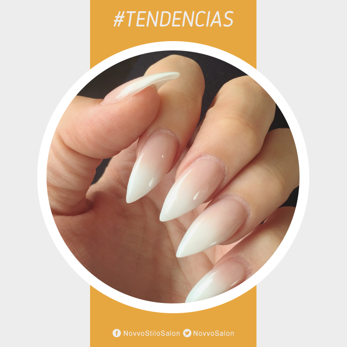 Novvo Stilo tweet media