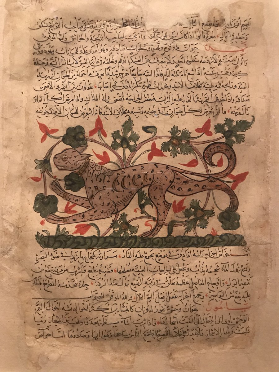 Aisha S Gani On Twitter I Love How The Museum Of Islamic Art Is Open Til Midnight These Are Illustrations From The Marvels Of Creation And The Oddities Of Existence Syria C13th
