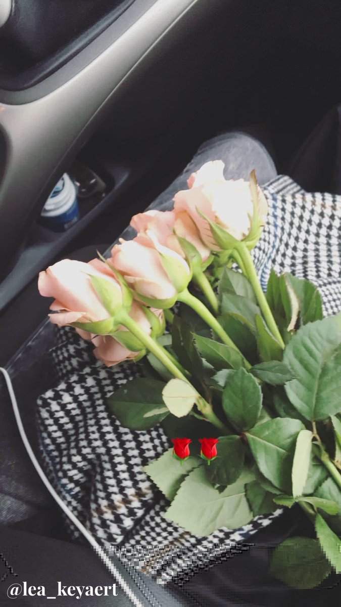 lea_keyaert's tweet photo. I’m the roses’s girl ! Is it possible for me to get a free t-shirt as I’m the model😏? Love you guys xx @5SOS @Ashton5SOS @Luke5SOS @Michael5SOS @Calum5SOS https://t.co/PnOBPYJC6t