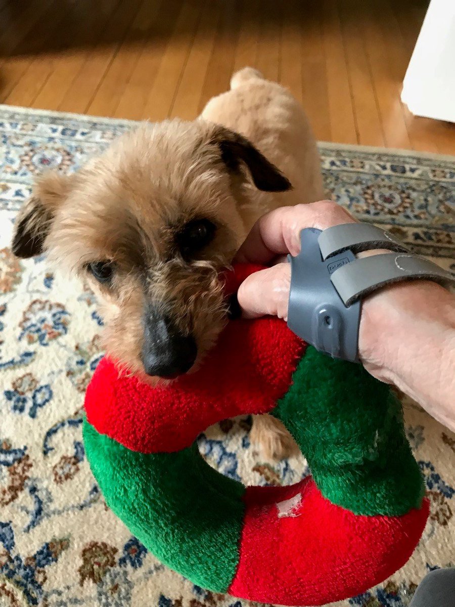 bracelab's tweet photo. For  Hand Therapy Week this week, we showcased activities that rely on our hands. But the truth is, we need them all day, every day. Many thanks to all of the wonderful hand therapists out there improving our lives all year! #HTW2018 #EmbraceFunctionalFreedom #ComplexMadeSimple https://t.co/Fpax91q89b