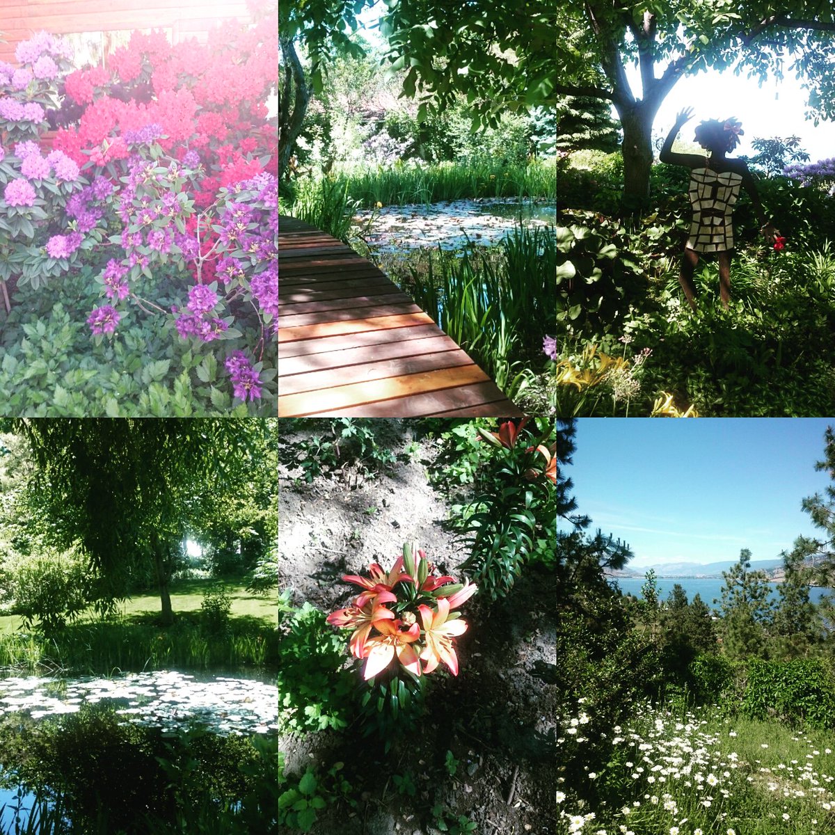 GallagherLake's tweet photo. Visited @lindengardens in #Kaleden last week and had a lovely time #exploring the different pathways through the #garden. Their #cafe and #patio are so #charming and a great place to have #tea or #lunch! The #gardens are also an extremely popular #weddingvenue in the #Okanagan. https://t.co/lrKt3oJMOL