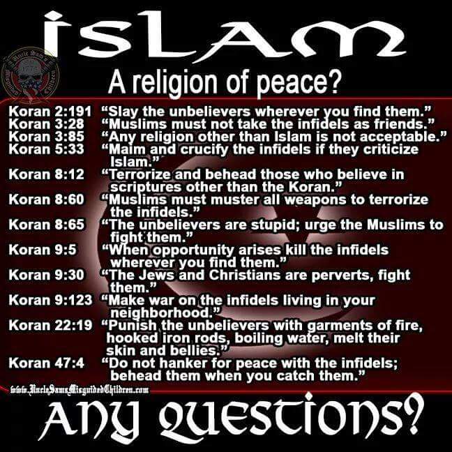 MarsDogBarks's tweet photo. @AussieYazz The basic premise of #Islam is 2
#Rule the #World by #ShariaLaw
By #Imams 4 #Islamification by
#PoliticalIslam &amp; #RadicalIslamists

#Racists @ Islam 4 #nonbelievers

#M103 #Trudeau's #Liberal #ProIslamic
#hatelaws 2 #Protect
#Radical #Islamists &amp; #Muslims
#Canada #haven for #ISIS https://t.co/QZlNZtZUzQ