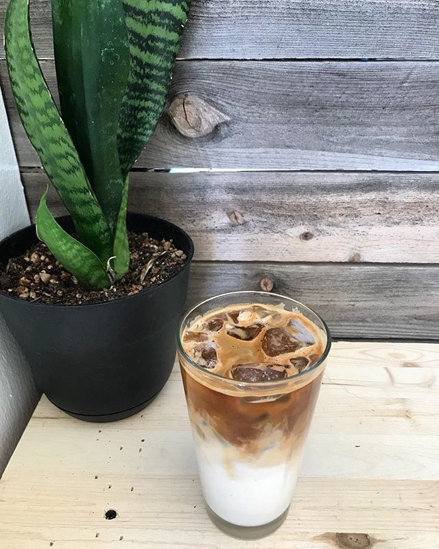 Raizana Tea Co tweet media