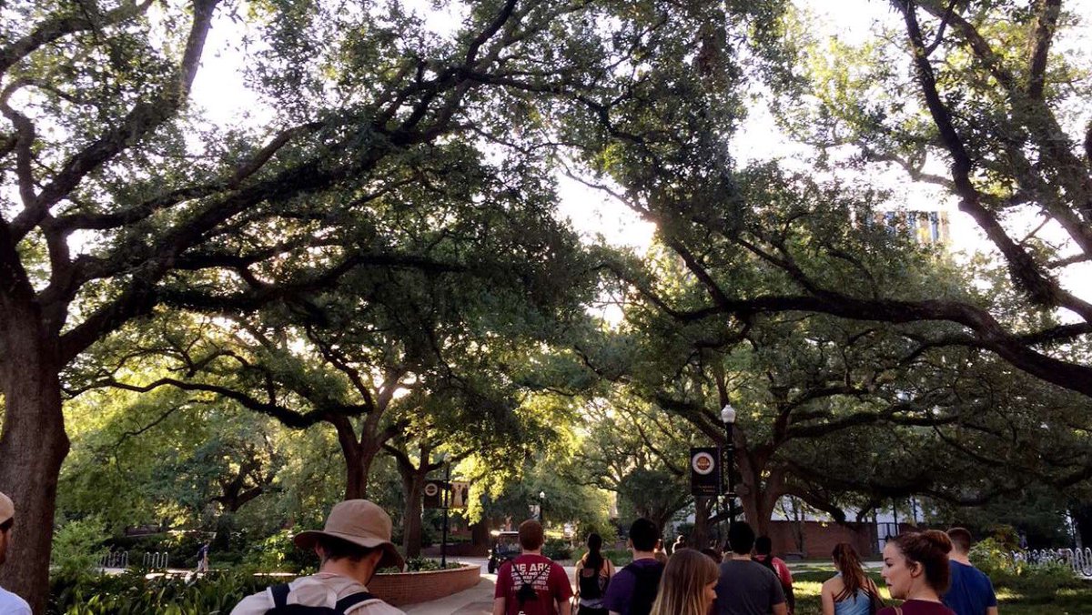 AddlynTeague's tweet photo. How was this two years ago? #orientation #fsuorientation https://t.co/6NK6hdNo1B
