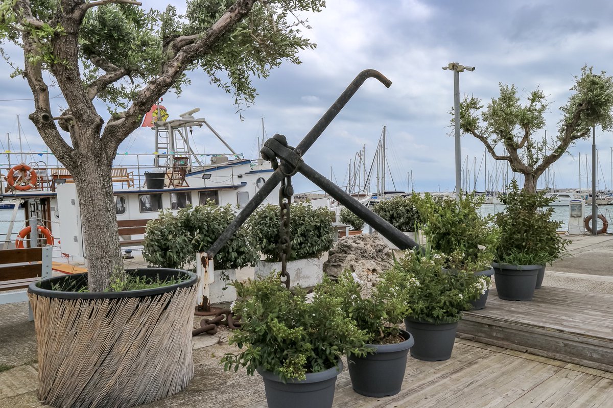 Anna_Pernice's tweet photo. Oggi ci siamo spostati sul lungomare di San Benedetto del Tronto per una bellissima biciclettata conclusa con un pranzo gourmet da @AtticoSulMar #100orenelpiceno #picenumtour #piceno #amoilpiceno #mangialongapicena #destinazionemarche
#liveforthestory https://t.co/nbDxHQ7ta3