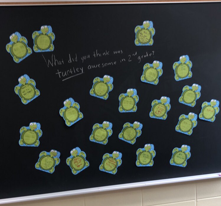 misstachulak's tweet photo. Second grade was “turtley awesome” 🐢💞 https://t.co/5oIs1JKDWc
