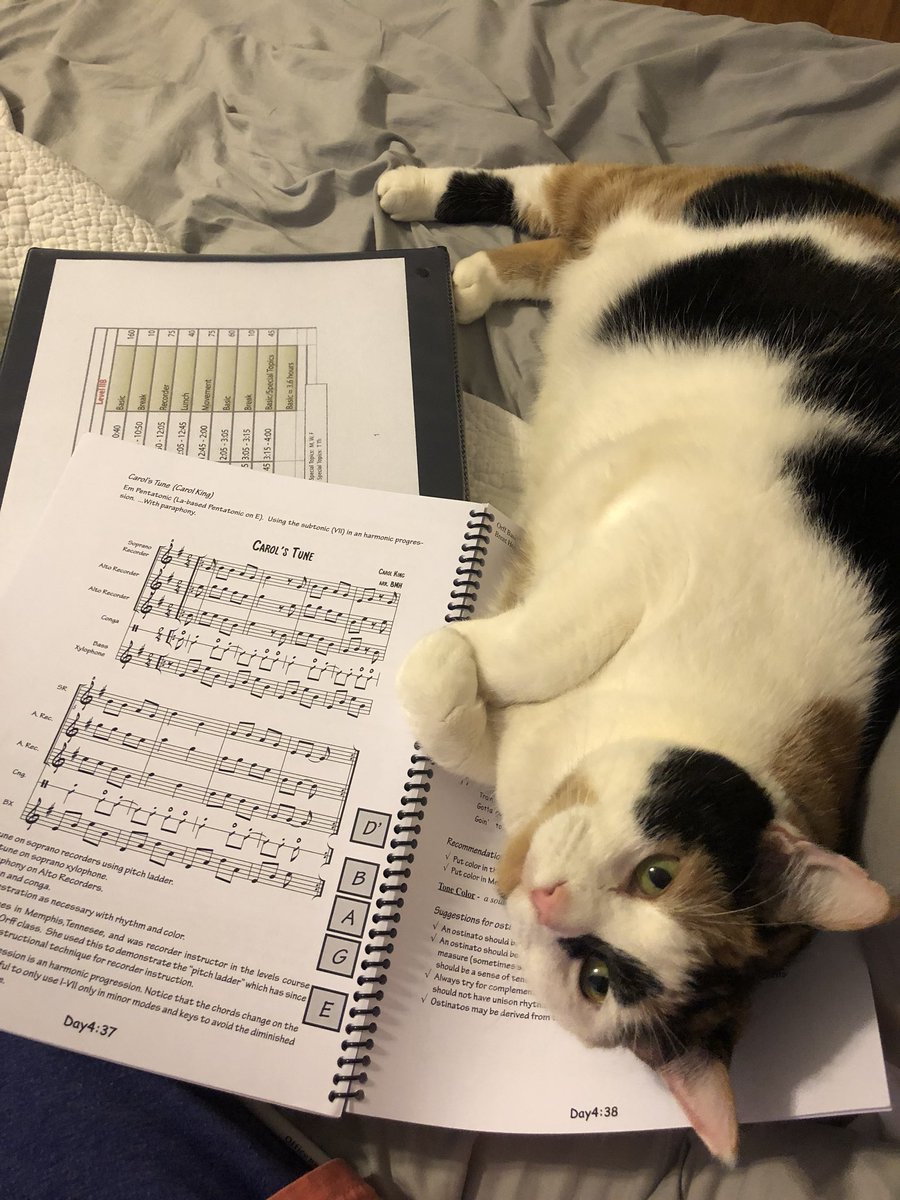 mrsrobinsmusic's tweet photo. Week one of Orff Level 2: check! Having a blast and learning a ton with @BeatinPathPub! Not sure Cleo is quite as enthralled... #orfflevel2 #gcpsorff2018 https://t.co/pTMBeFW2Wb