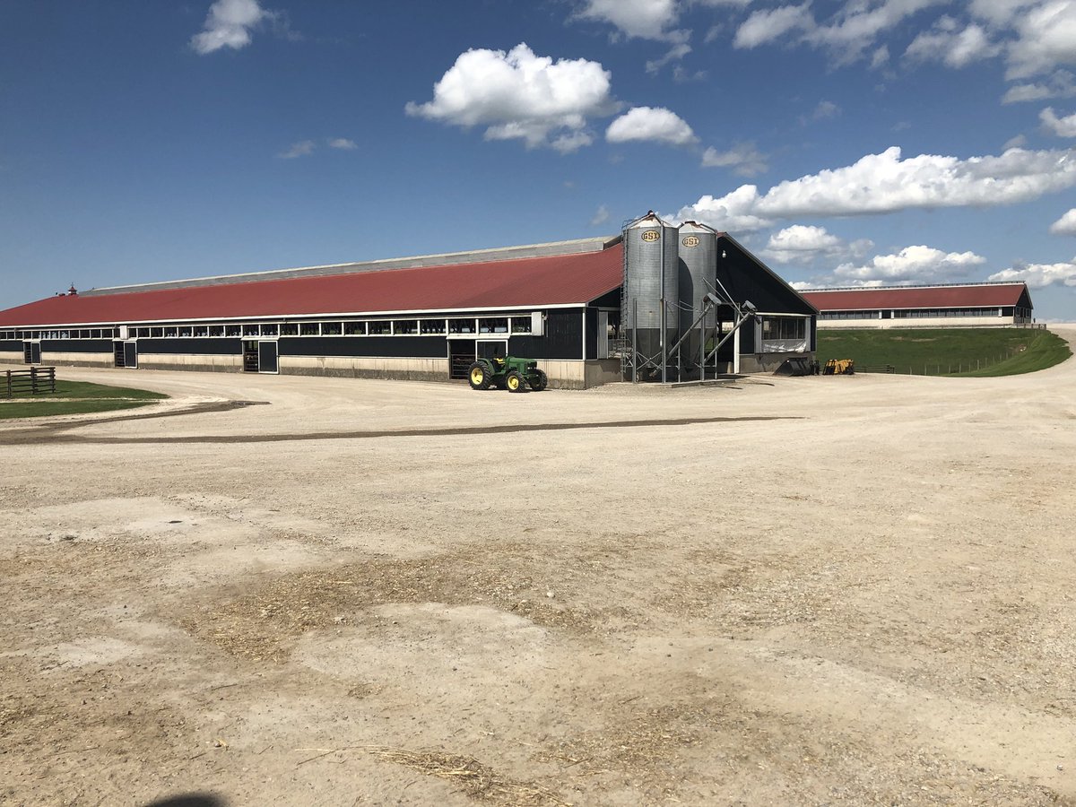 Myhre_Hans's tweet photo. Thanks @KenSchaus for the great tour of your top notch cattle feeding facility. Great to see where a lot of our calves end up.  @canCharolais @OnCharolais https://t.co/KlYjAufhN8