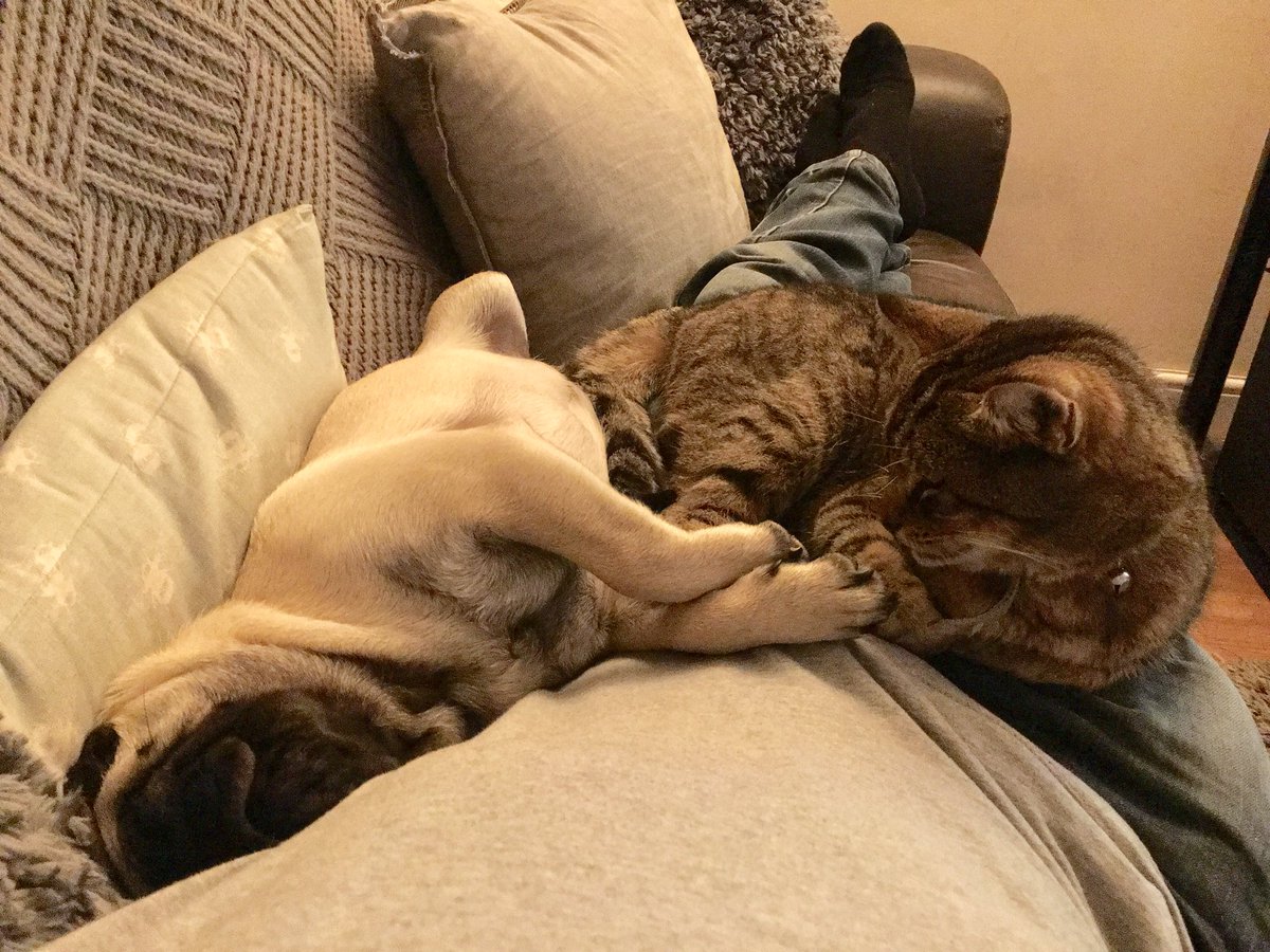 Hanging with my brother from another mother.