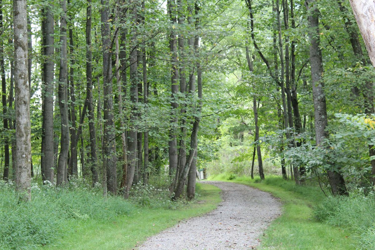 PennForest's tweet photo. Join us on our path to provide ecologically friendly burial and to restore our 35-acre forest. 

 ... https://t.co/cMuElsnM3L https://t.co/1LGbXAUBiv