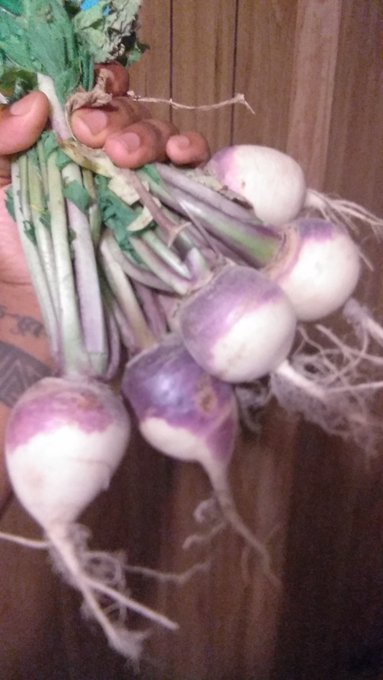 Turn up? https://t.co/YDSV15C5f0