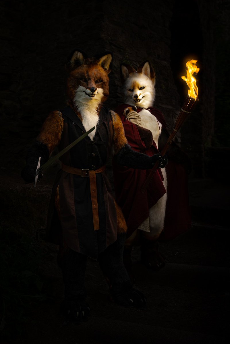 feraldotdesign's tweet photo. Foxy family escaping from the bad guys - picture taken by kovu and post by @CleanerWolf https://t.co/WPH2b7UWnF