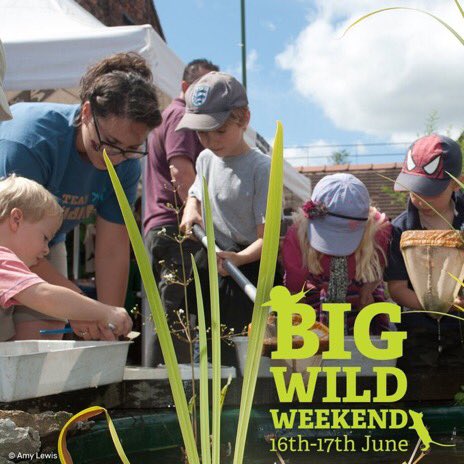 WildlifeTrusts's tweet photo. THE BIG WILD WEEKEND 16-17 June. 200+ @WildlifeTrusts events including badger watching, sea dipping, night-time nature rambles, beach cleans, butterfly hunts, picnics &amp; even a music festival. https://t.co/dHOdldz5P9… #30DaysWild #BigWildWeekend https://t.co/PxehSkTuWr