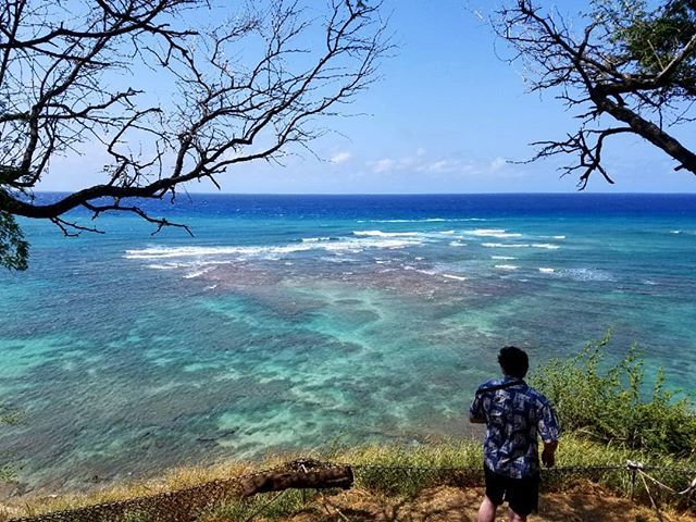CalebGiki's tweet photo. Hawaii was pretty cool
.
.
.
.
.
Shot with a Sony A6000
#hawaii
#honolulu
#waikiki
#waikikibeach
#hawaiilife
#travelhawaii
#venturehawaii
#honoluluhawaii
#hawaiistagram
#hawaiibestphotos
#SonyImages
#sonyalphasclub
#alphacollective
#IG_color
#hubs_united… https://t.co/3wCCNkJzPK https://t.co/zD7ghSITH3