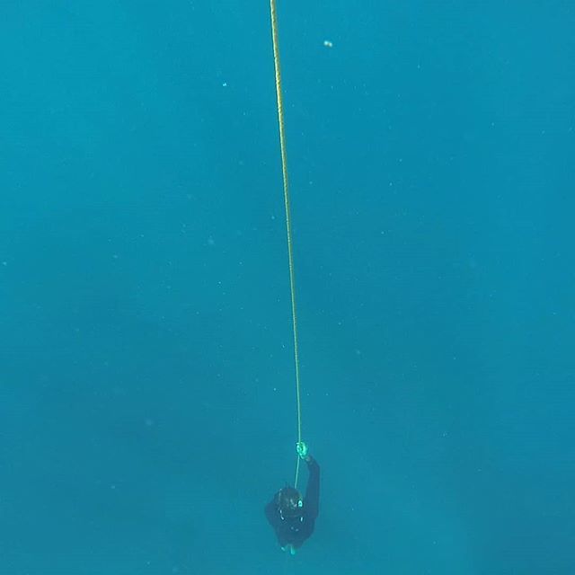Guidiary's tweet photo. Following the line back up to the surface. Great first experience of freediving with @freediveutila.
#Utila #hondurasisgreat #Honduras #VisitHonduras #islandlife #freediveutila #freediving #diving #apnea #exploremore #travelstoke #apneatotal #freediverl… https://t.co/LLhqdRyoKj https://t.co/5XIsGjUpbh