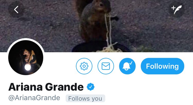 cambeserious's tweet photo. RETWEET IF ARIANA DOESN’T FOLLOW YOU ❤️ adding people to a list right now. Turn on notifications https://t.co/scF4O580fZ