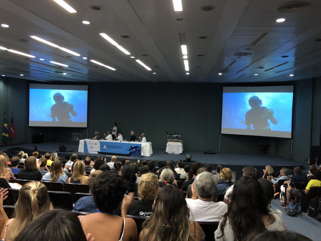 MigraMar tweet media